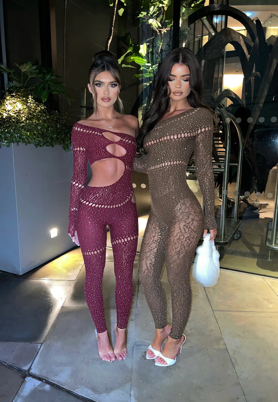 One-piece Long Sleeves Hot Shiny Fishnet