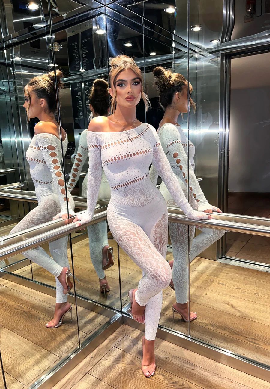 One-piece Long Sleeves Hot  Shiny Fishnet
