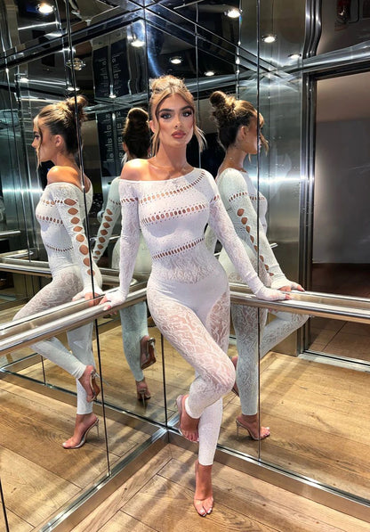 One-piece Long Sleeves Hot  Shiny Fishnet