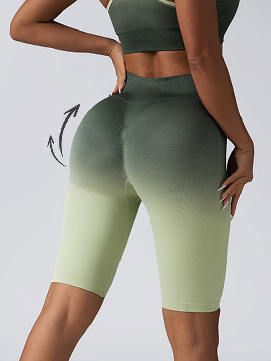 2 Pack Workout Shorts