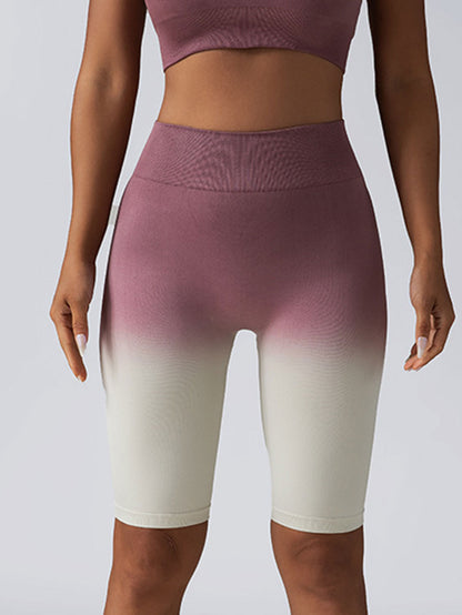 2 Pack Workout Shorts